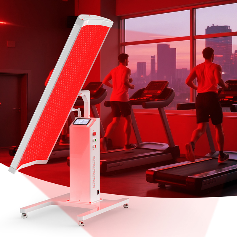 Suyzeko OEM Longevità Assisten - Longevity Health & Wellness Hotel recensione e prezzo